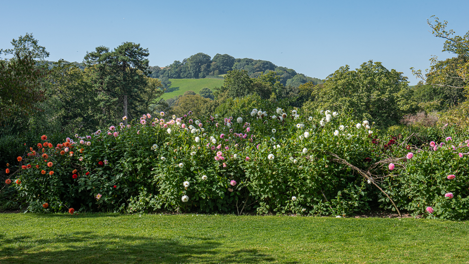 NT trip to Devon & Somerset, Sept 2023