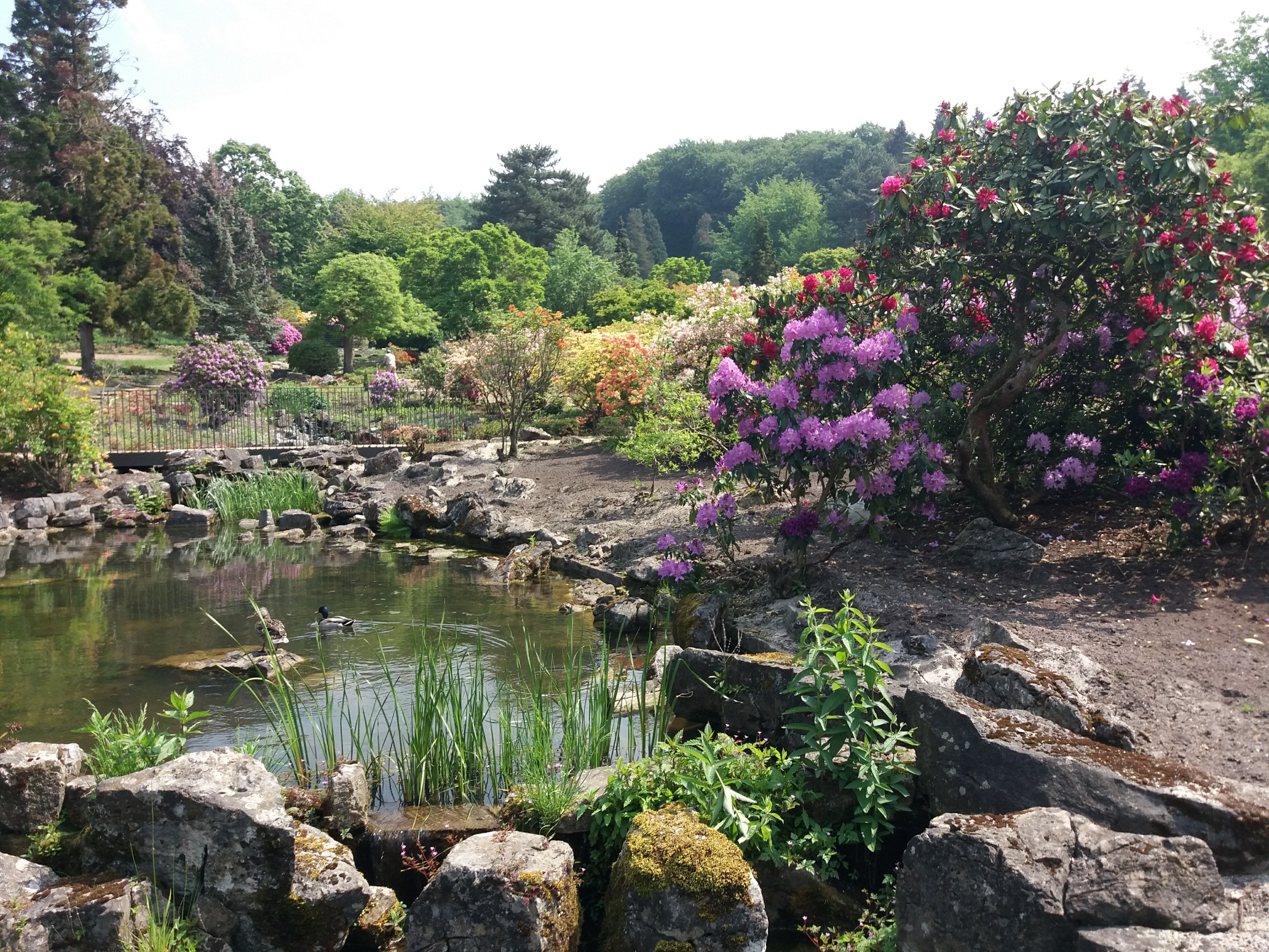 Avant-garde art & an alpine rock garden